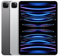 iPads Pro (alles tonen)
